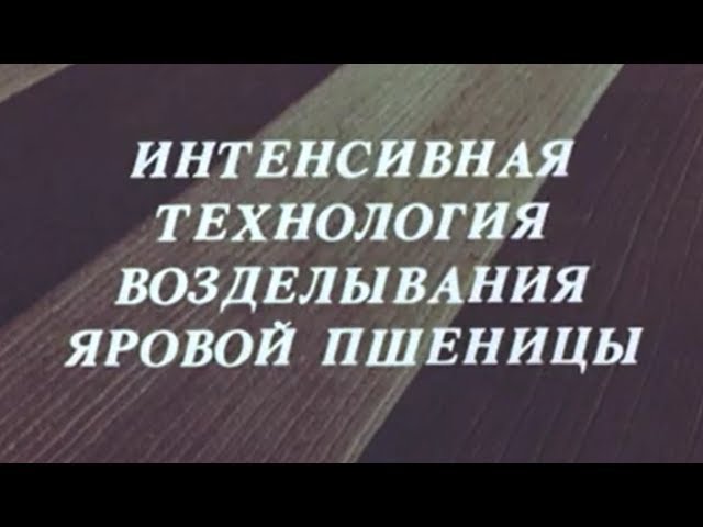 Реферат: Интенсивная технология возделывания озимой пшеницы