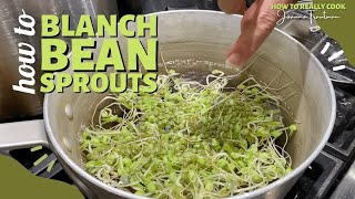 How to Blanch Bean Sprouts | Blanching | Boiling | Fast-Cook | Crunchy | Oil Free | Cooking Show by Joanna Trautman 2,588 views 2 years ago 9 minutes, 4 seconds