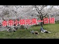 【北海道】余市小鎮 兜風一日遊