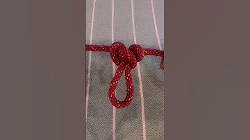 Alpine Butterfly Knot in 30 Seconds! | Strong Mid-Line Loop #knot #camping #survivalskills  #diy