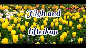 Worthy is the Lamb with lyrics by Natasha Midori Worthy is the Lamb with lyrics by Natasha Midori