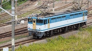 2019/06/14 【機回し】 EF65-2127 東京貨物ターミナル駅 | JR Freight: EF65-2127 at Tokyo Kamotsu