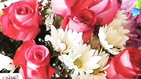 سورة النصر، الشيخ صلاح بو خاطر