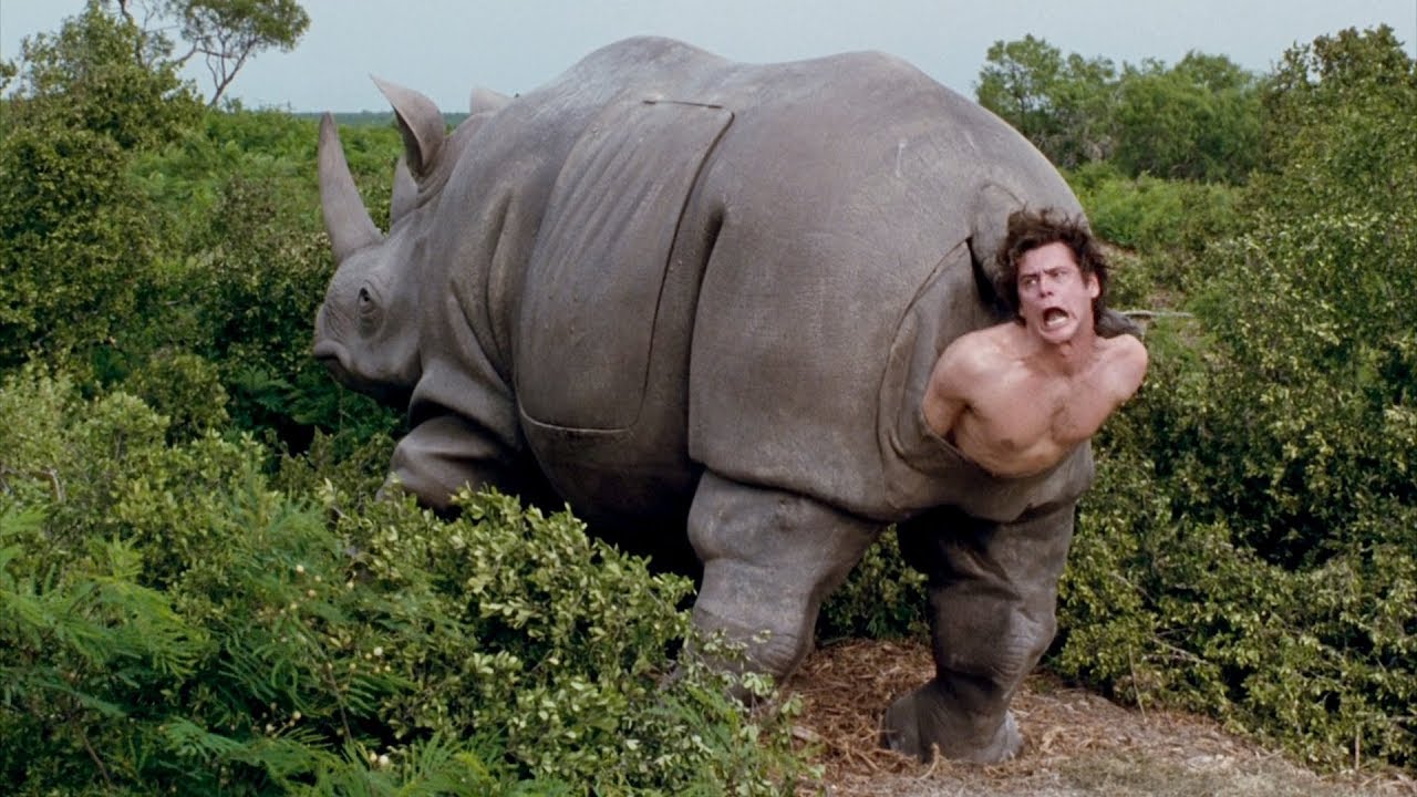 Эйс Вентура вылазит из носорога.