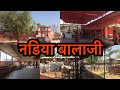        nadiya balaji mandir  pujari ki dhanijhunjhunu