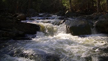 Improvisation #87 for Prophet 