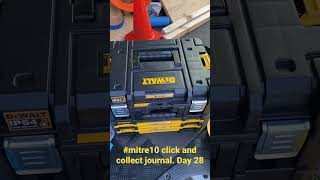 Journal. Day 28. They Arrived.