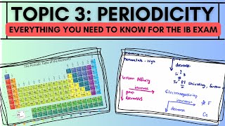 Topic 3 Periodicity: Everything You Need to Know for the IB Exam