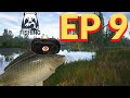 Russian Fishing 4 - Trophy Gibel Carps - Ep 9