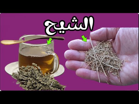 فيديو: الشيح