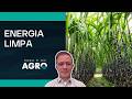 Copersucar inaugura operação à base de biometano | HORA H DO AGRO