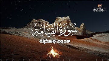 سورة القيامة | هدوء وسكينة للقلب | كأنك تراها