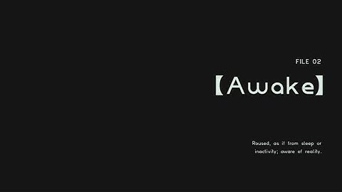 Astral Chain File 02-Awake