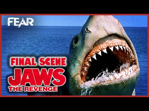 The Shark Roars (Jaws 4 Final Scene) | Jaws: The Revenge | Fear