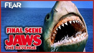 The Shark Roars (Jaws 4 Final Scene) | Jaws: The Revenge | Fear