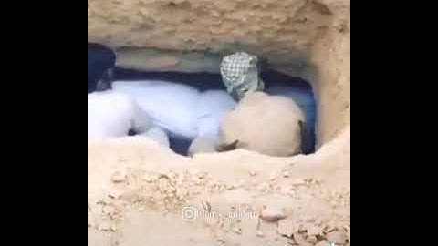 القارئ عبدالرحمن مسعد - سورة العنكبوت