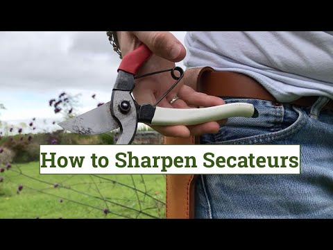 How to sharpen secateurs