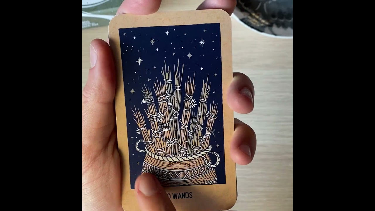 Walk Through the Suit of Wands - Transient Light Tarot Deck