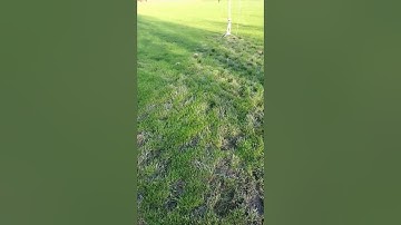 6ft. MEAN MACHINE model rocket E12-8 Estes motor