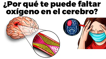 ¿Cuáles son los síntomas de la falta de oxígeno en el cerebro?