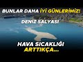 Deniz Salyası Aslında Ne? MARMARA ÖLÜYOR!