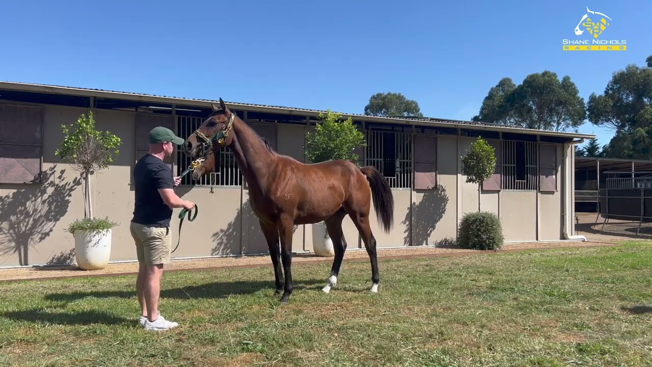 SNR Open Day Parade 2024