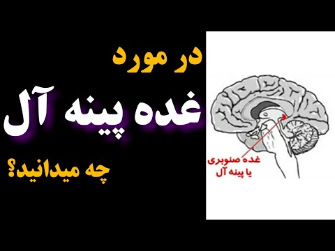 تصویری: غده اصلی به چه چیزی گفته می شود؟