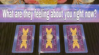 What are they feeling about you right now?💗🌞🔥Pick A Card reading🌻✨🌸*Accurate*
