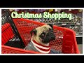 Pug goes shopping