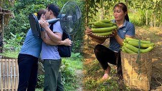 Full Video: 150 harvests of melons, squash, vegetables to sell - Xuan works for a long time