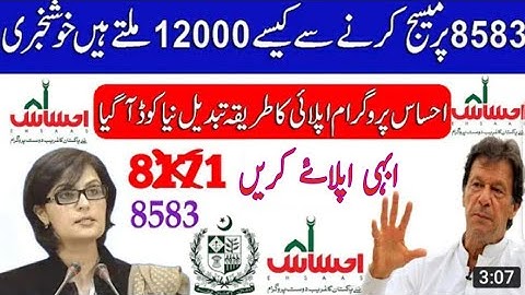 Ehsas Kafalat Program Online Registration || Ehsaas Kafalat Program 2020 Live proof video