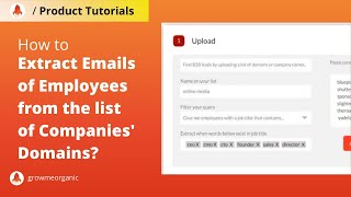 How to Extract Emails of Employees from the list of Companies