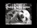  radio fusion 