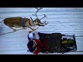 More Reindeer Sleigh Ride in Finland/Lapland