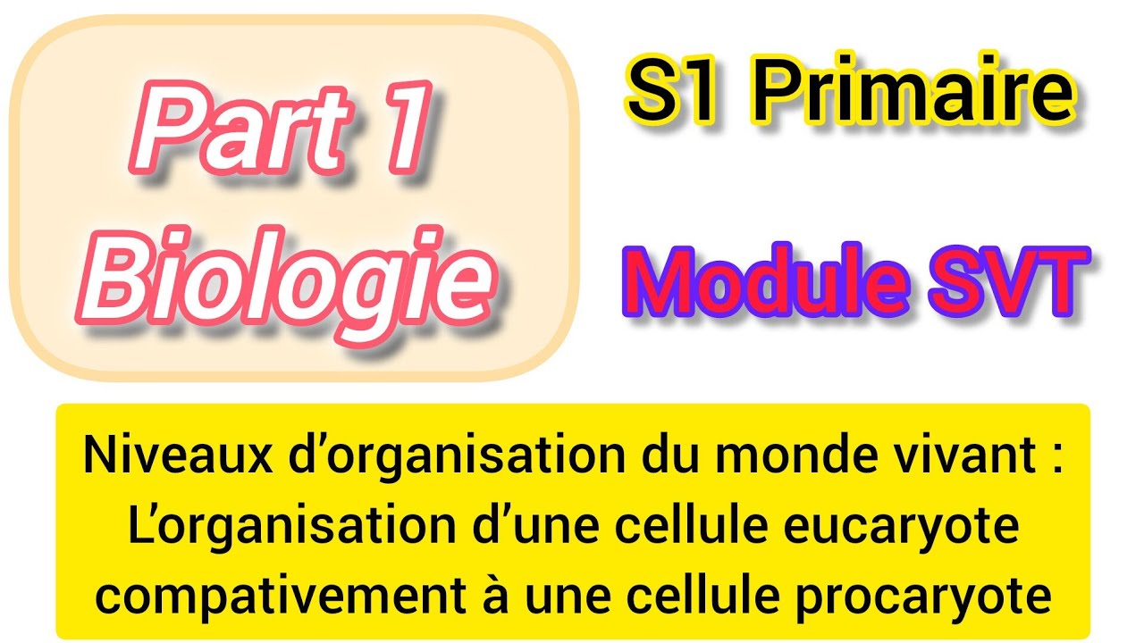 Niveaux d’organisation dans le monde vivantComparaison la cellule procaryote et la cellule eucaryote