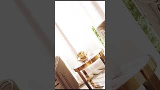 Ultimate Guide to Formal Seating Animation in 3Ds Max: Render Like a Pro with Corona, Chaos Vantage