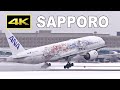 [4K] ANA Demon Slayer Jet 3 - Sapporo New Chitose Airport 2023 - Winter plane spotting / 新千歳空港 鬼滅の刃