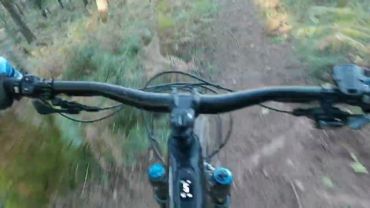 6 de septiembre de 2025