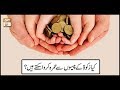 Watch Zakat Kay Peson Say Umrah Karwasakty Hain | ARY Qtv Online In HD