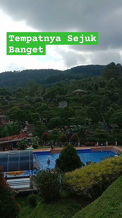 Weekend #liburan #healing #tempatwisata #puncak #bungaimpianchannel #shortsfeed