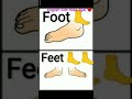 The Difference Between The Pronunciation Of Foot And Feet