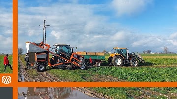 Parsley harvest in muddy conditions - Weringen RVS-1