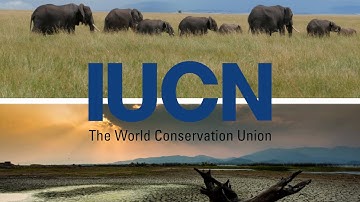 The International Union for Conservation of Nature (IUCN)