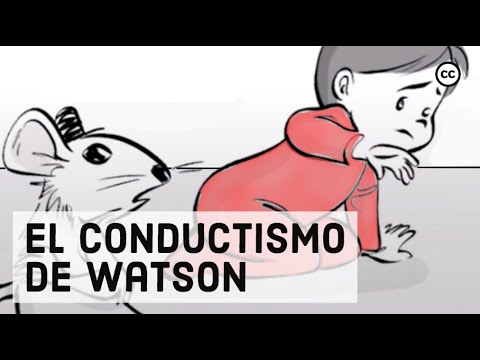 Video: ¿Cuál es la implicación de la teoría del conexionismo de Thorndike en la educación?