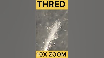 thread under microscope #youtubeshorts #shortvideo #shortsfeed #microscope #microscopeview