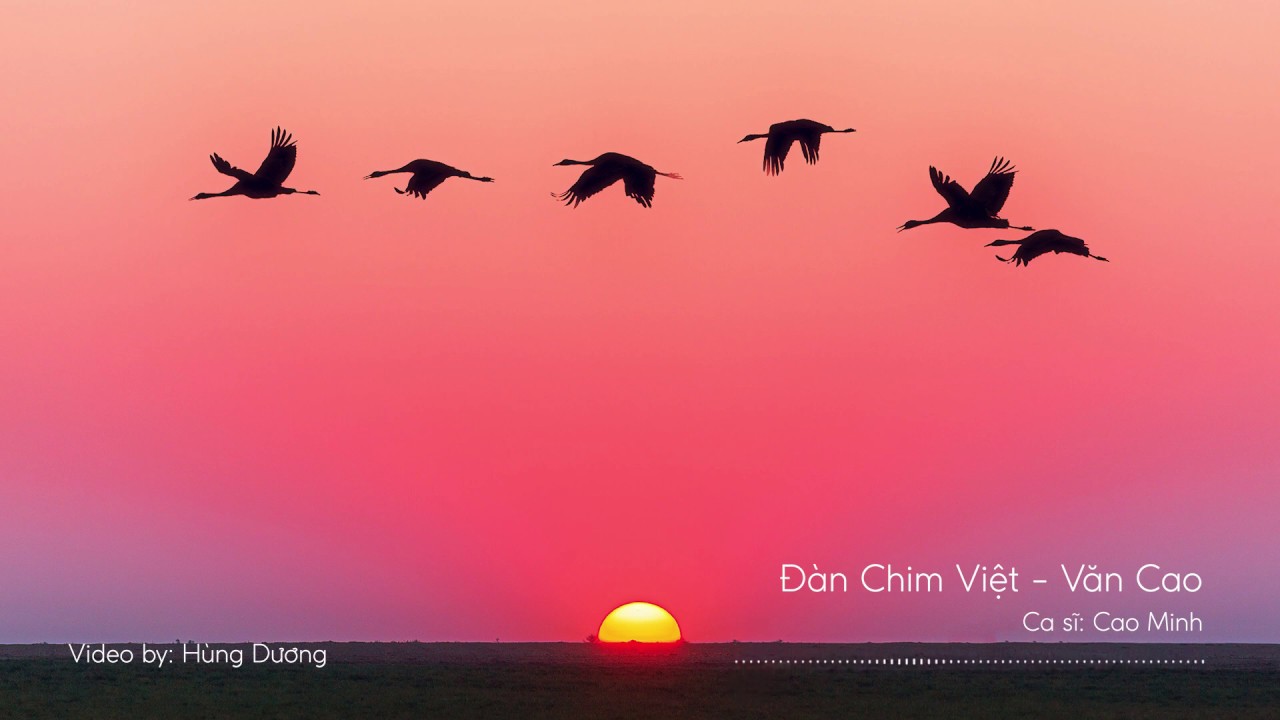 Đàn%20Chim%20Việt%20-%20Nhạc%20sĩ:%20Văn%20Cao%20-%20Ca%20sĩ:%20Cao%20Minh%20-%20YouTube