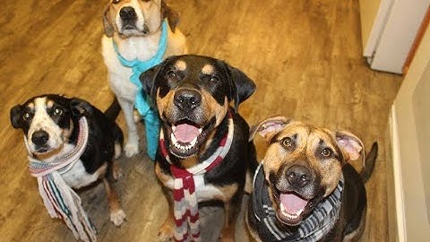 4.1 Using Graphs to Relate Two Quantities