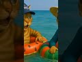 Memes ترند اكسبلور مضحك كوميديات Youtubeshorts Cat Twice Tiktok Kitten Fyp Kitty Cute Memes ترند اكسبلور مضحك كوميديات Youtubeshorts Cat Twice Tiktok Kitten Fyp Kitty Cute