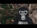 Playing Gorilla tag with Youuuu