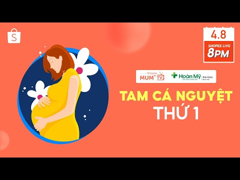 Dinh dưỡng 3 tháng đầu thai kỳ cho bà bầu | Mum TV